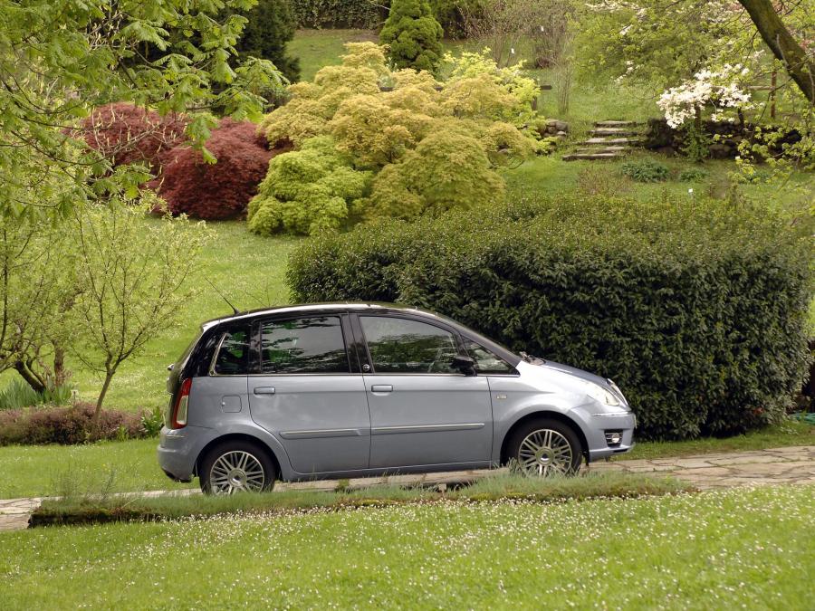  Lancia Musa Ecochic 2009 года  (фото 2 из 3)